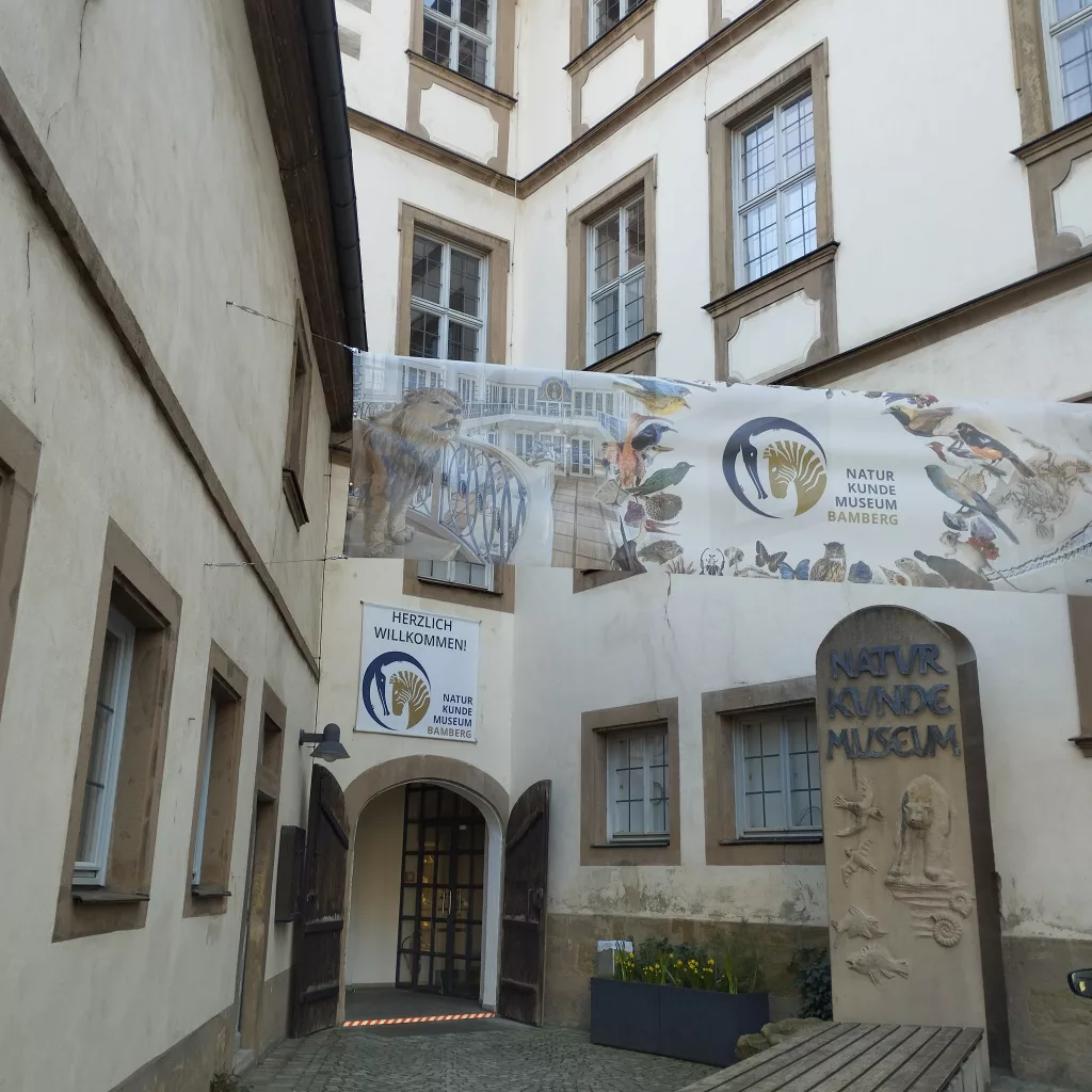 Naturkundemuseum - Bamberg