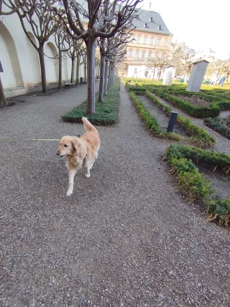 Rosengarten - Bamberg