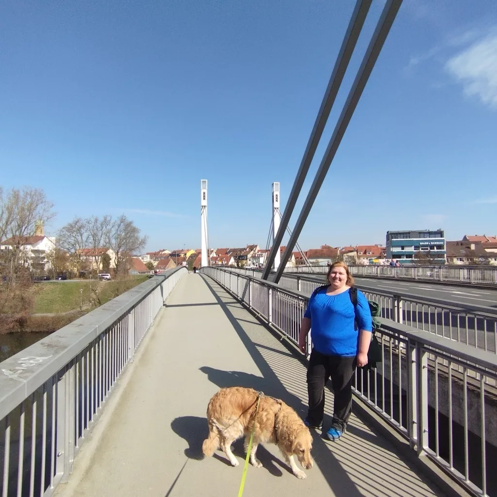 Löwenbrücke - Bamberg