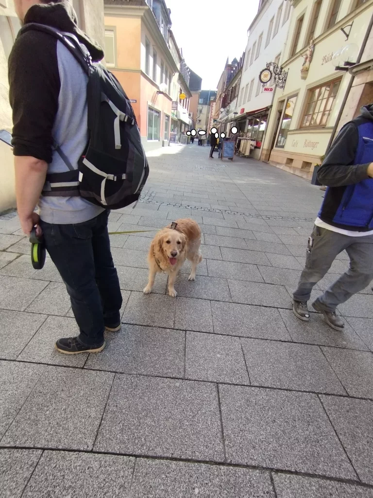 Altstadt - Bad Kissingen