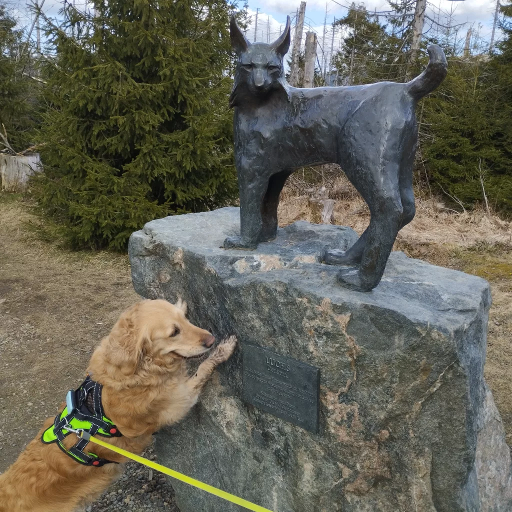 Torfhausmoor - Luchs Denkmal