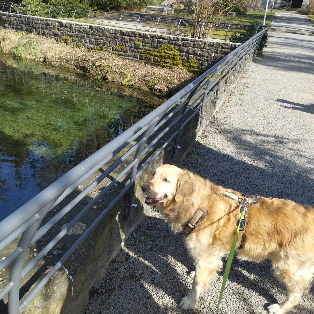Liebfrauensee - Bad Kissingen