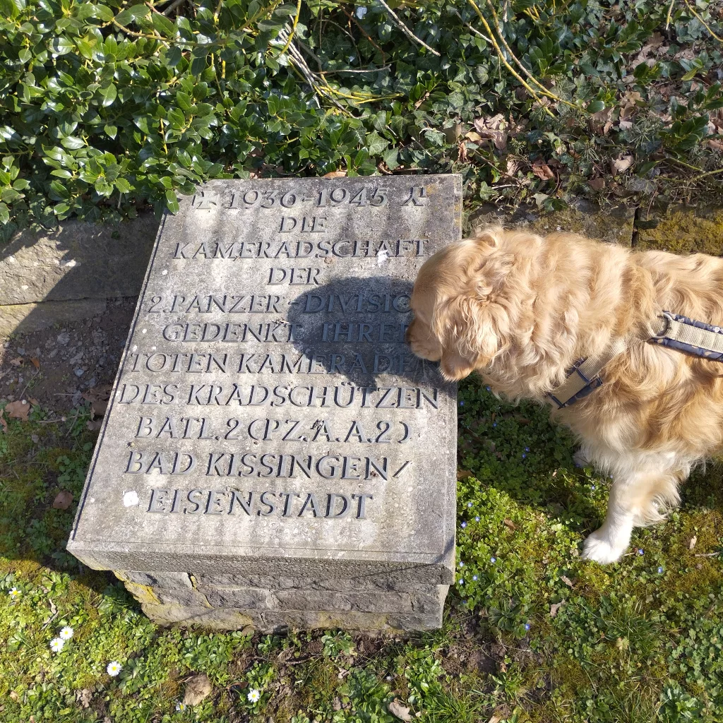 Kapellenfriedhof - Marienkapelle - Bad Kissingen