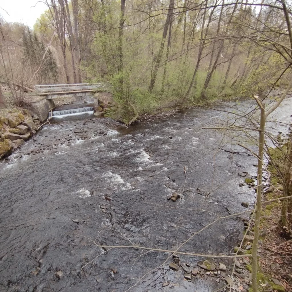 Sieberbrücke an der Mündung, Herzberg am Harz
