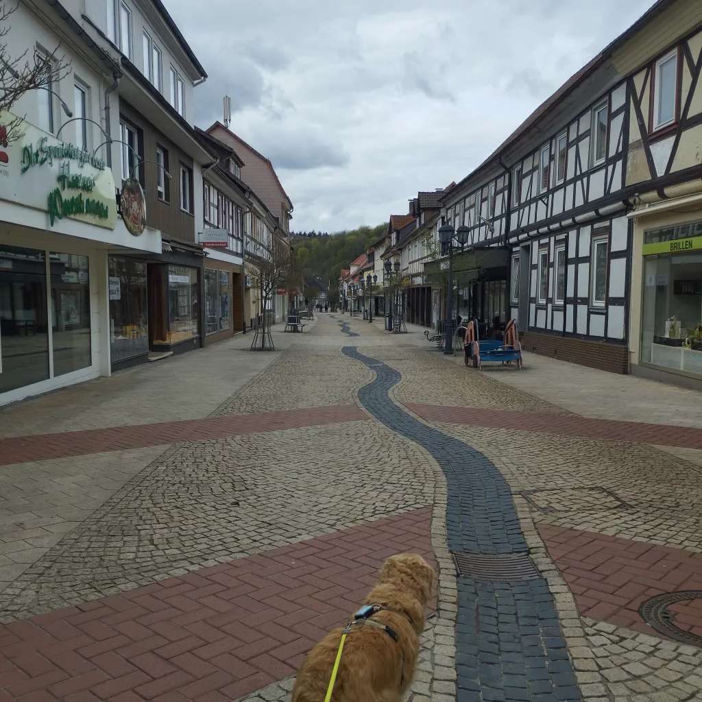 Hauptstraße (Einkaufsstraße), Herzberg am Harz
