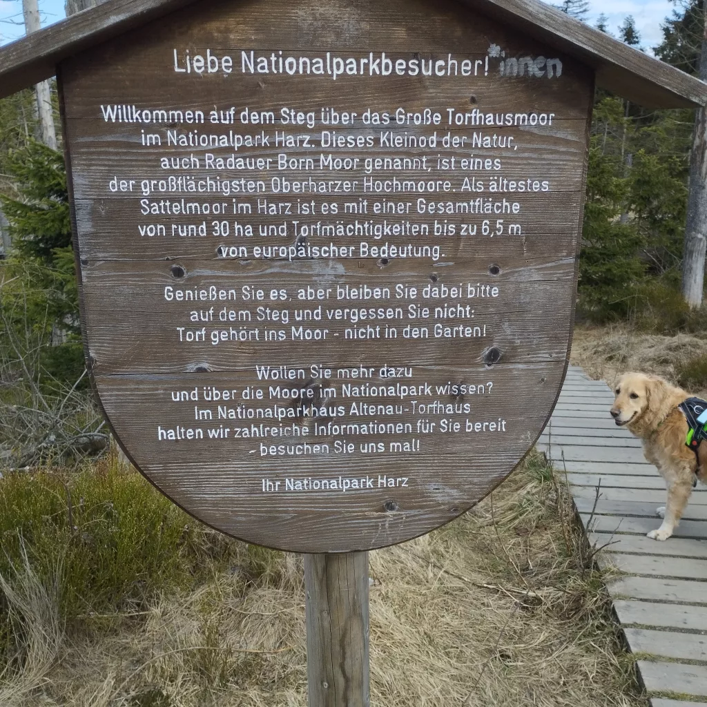 Torfhausmoor