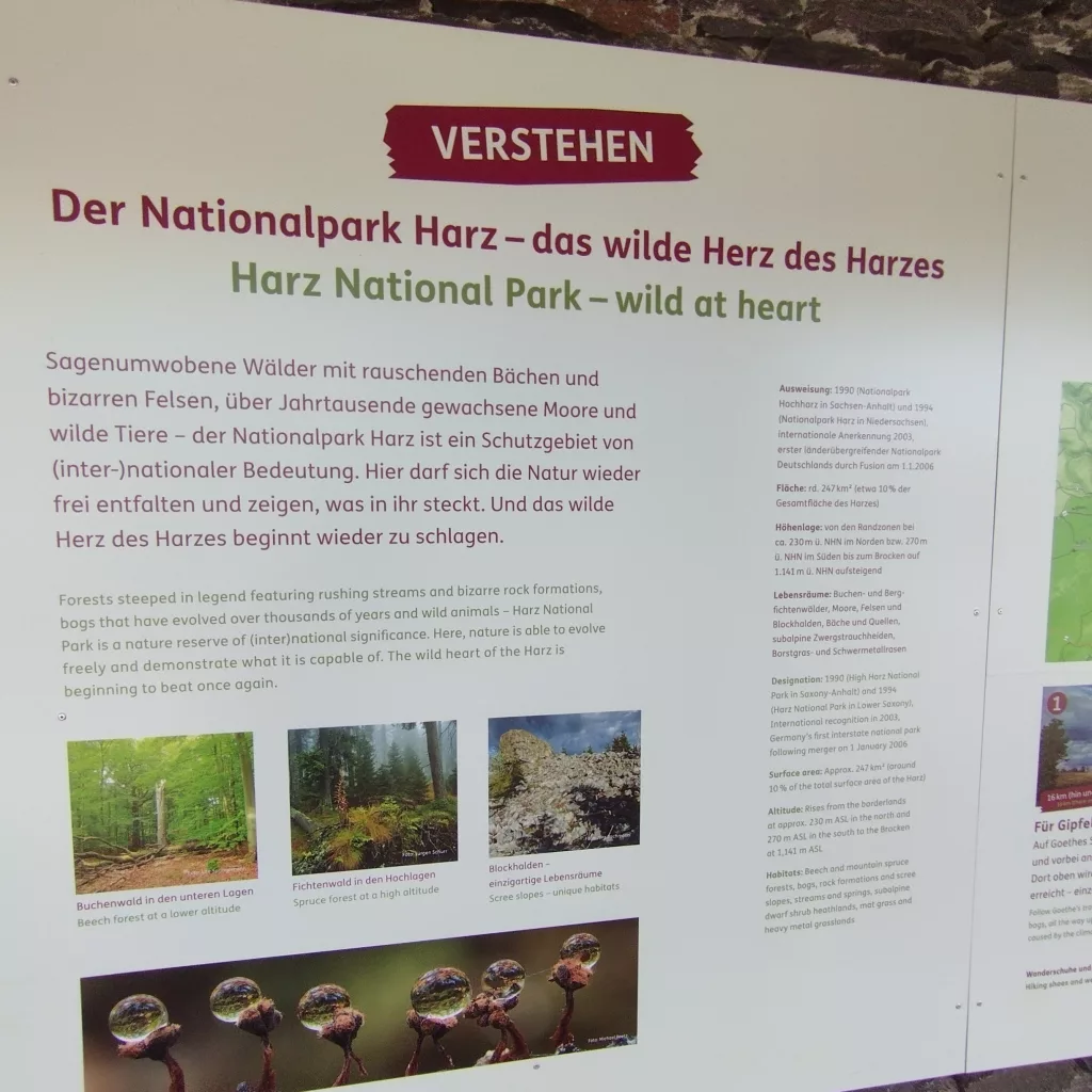 Torfhausmoor