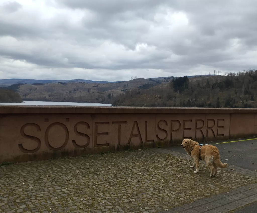Sösetalsperre im Harz