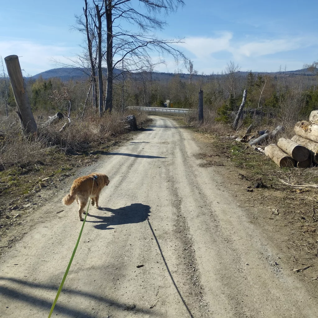 Emma's Wanderweg in Braunlage