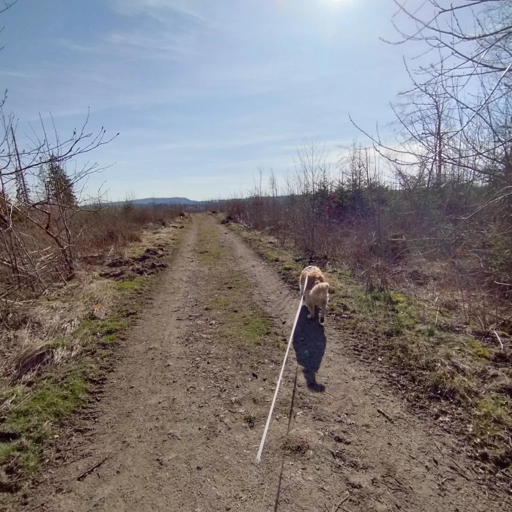 Emma's Wanderweg in Braunlage
