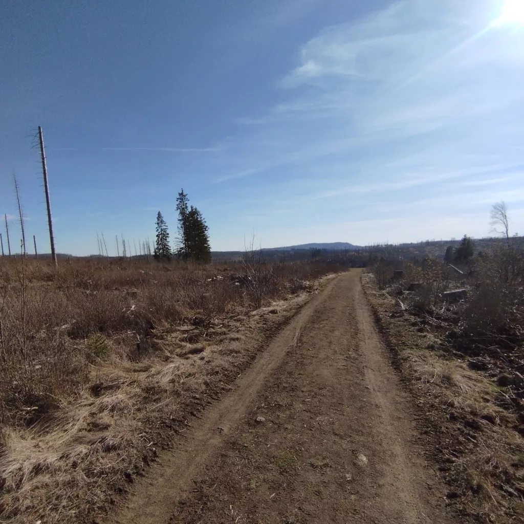 Emma's Wanderweg in Braunlage
