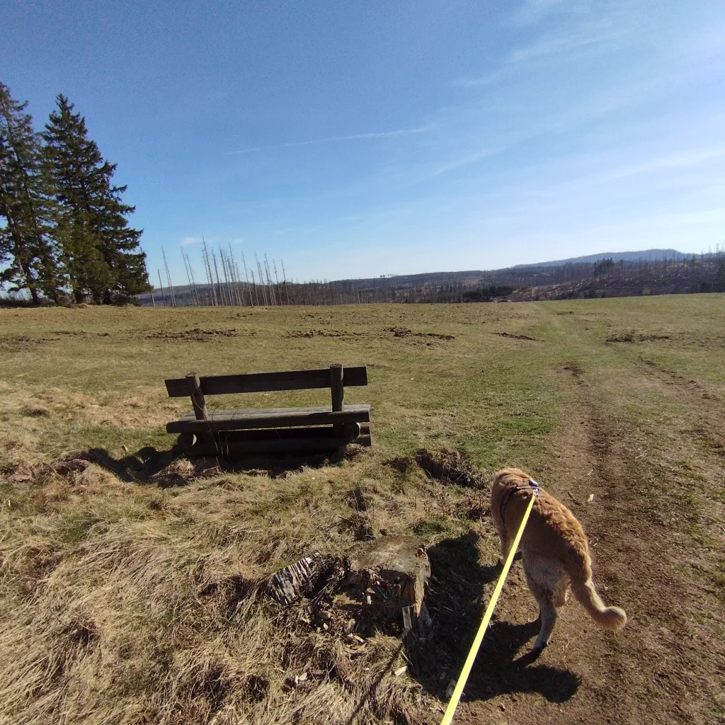 Emma's Wanderweg in Braunlage