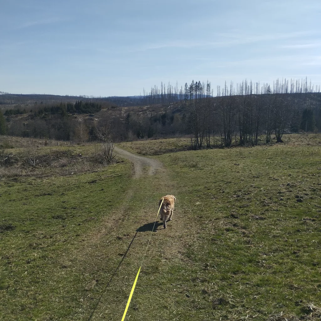 Emma's Wanderweg in Braunlage
