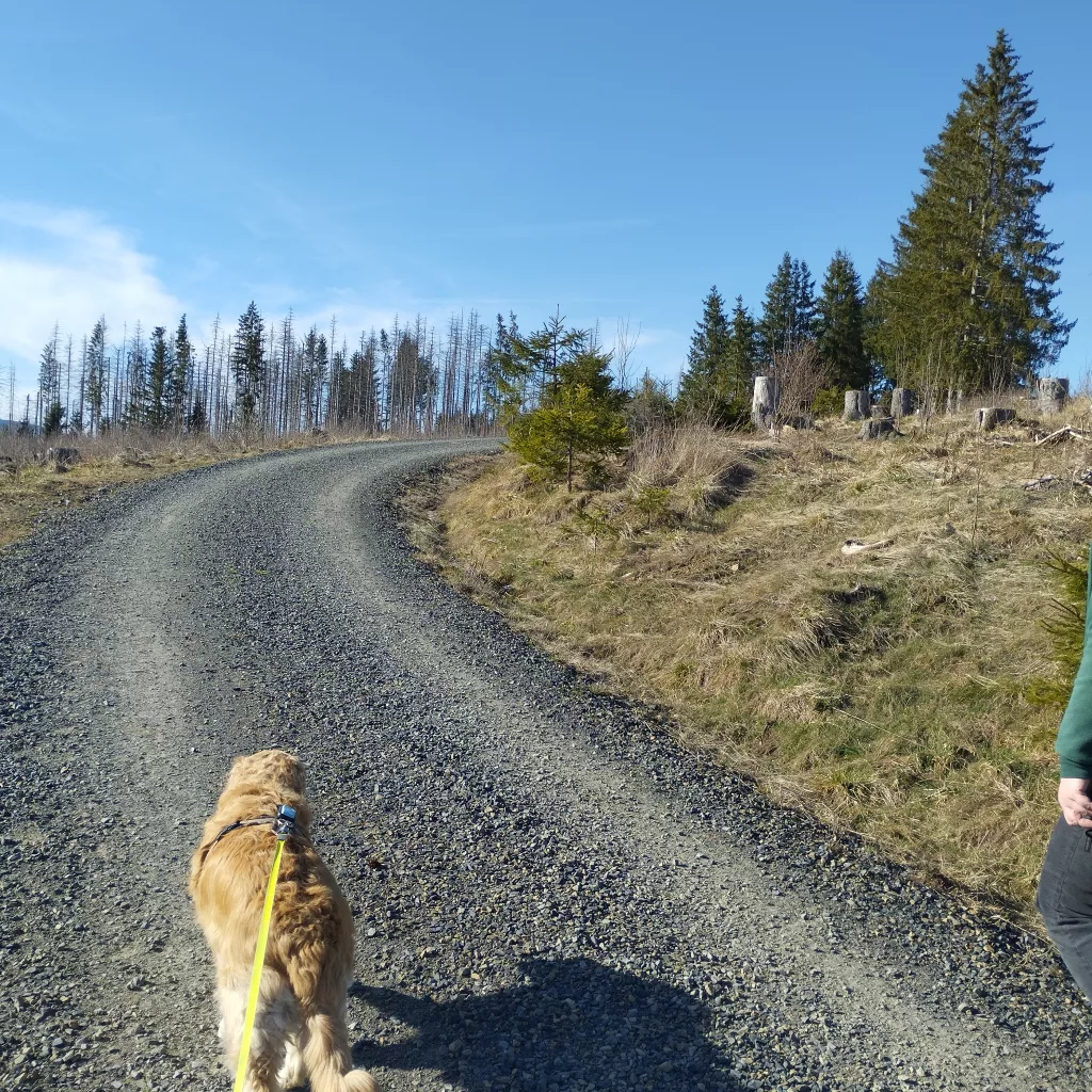 Emma's Wanderweg in Braunlage