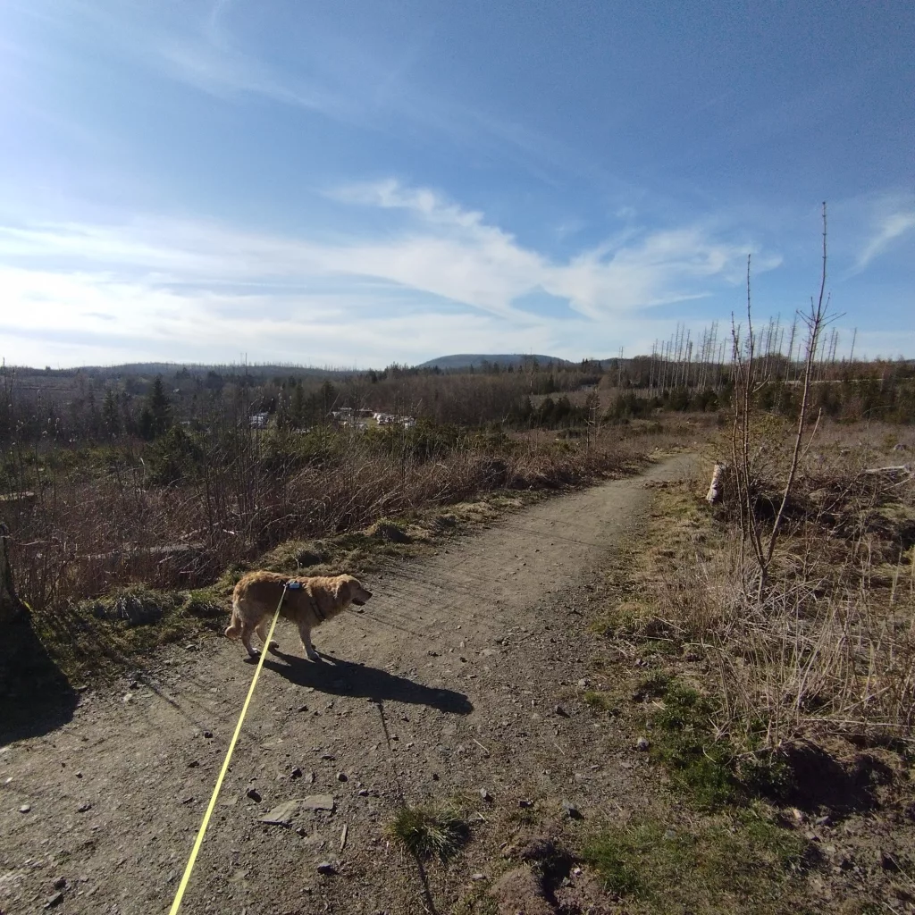 Emma's Wanderweg in Braunlage
