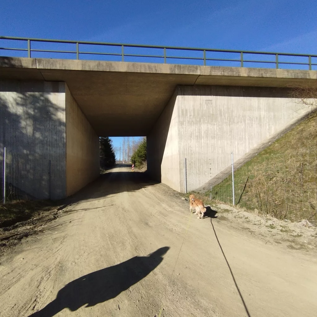 Emma's Wanderweg in Braunlage