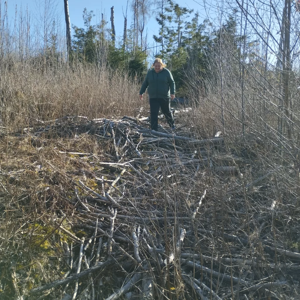 Emma's Wanderweg in Braunlage