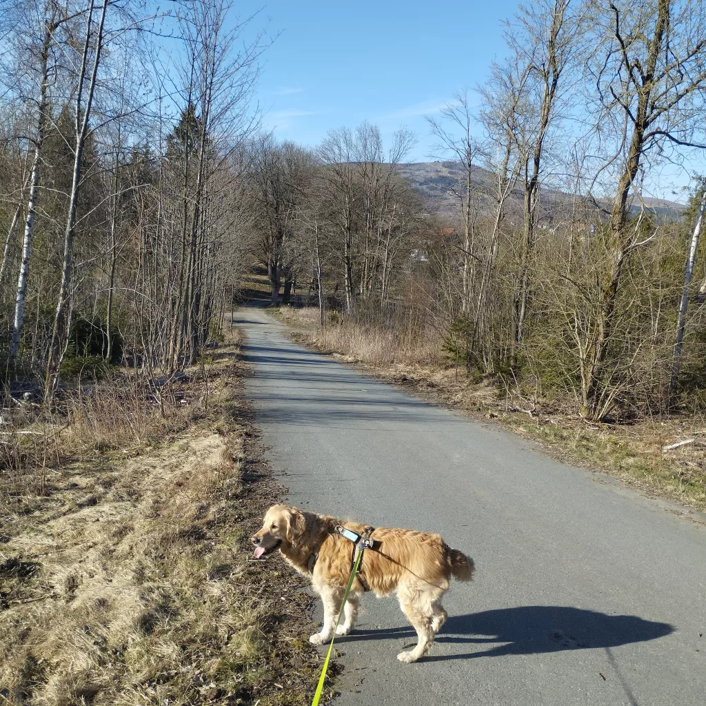 Emma's Wanderweg in Braunlage