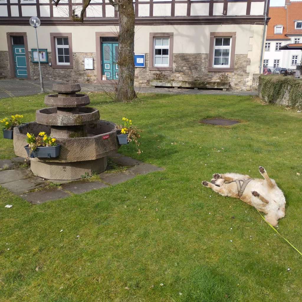 St. Jacobi - Osterode am Harz