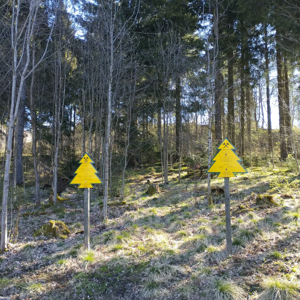 Lochsteine Clausthal-Zellerfeld