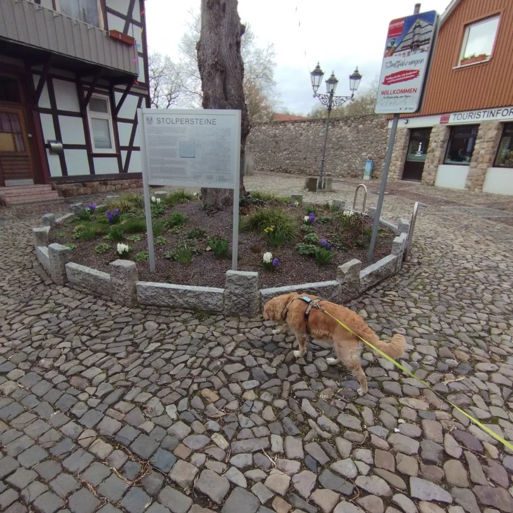 Stolpersteine - Osterode am Harz