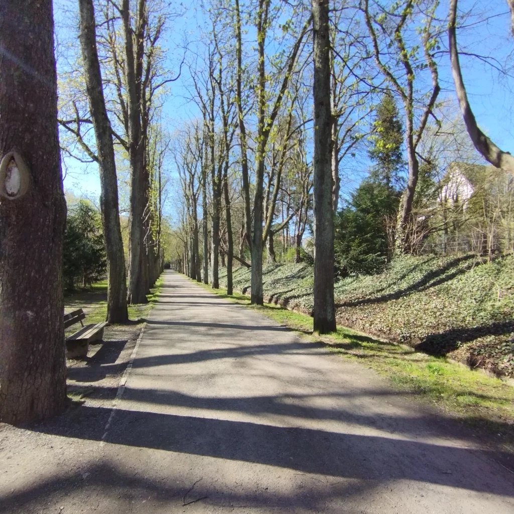 Wallanlagen Goslar