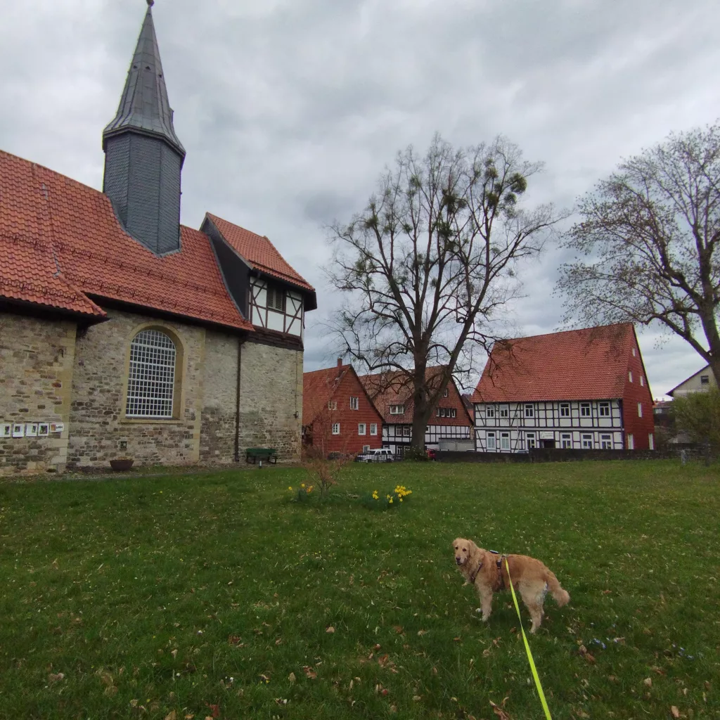 St. Marien - Osterode am Harz