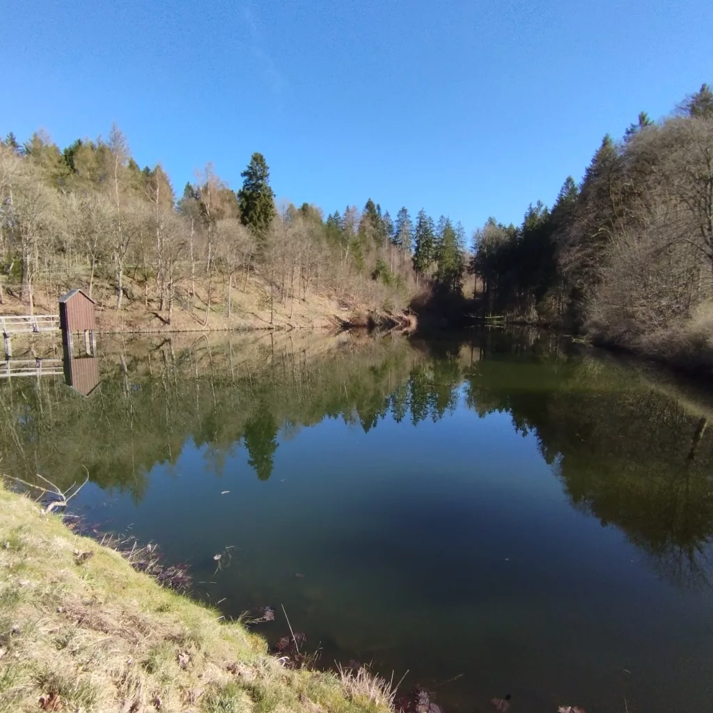 Carler Teich - Clausthal-Zellerfeld