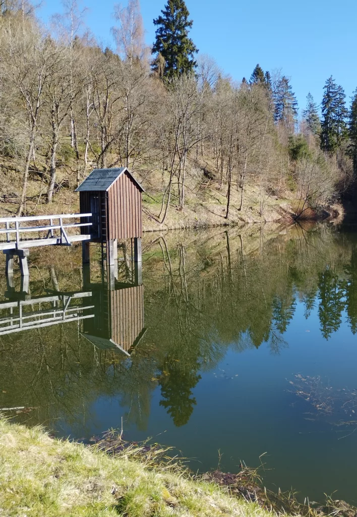 Carler Teich - Clausthal-Zellerfeld