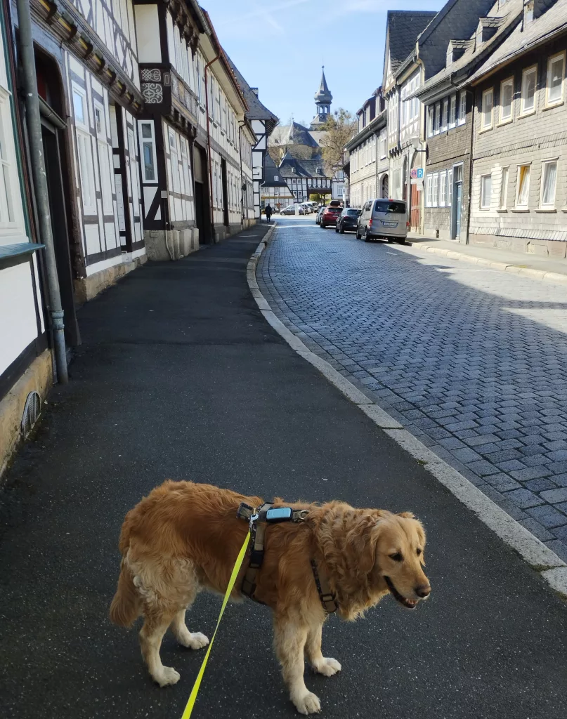 Minenarbeiterhäuser in der Peterstraße - Goslar