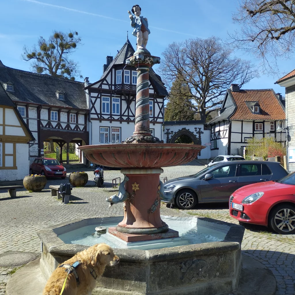 Frankenberger Plan mit Brunnen - Goslar