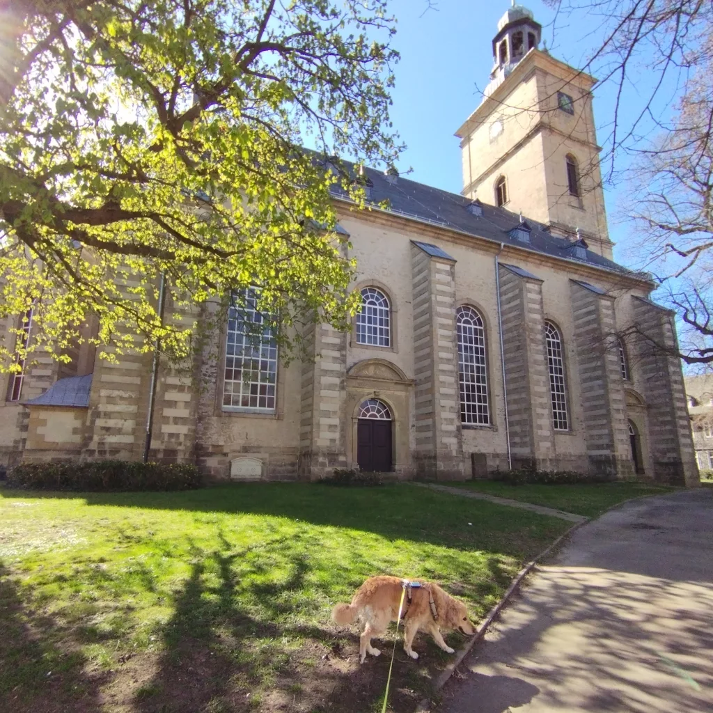 St. Stephani-Kirche - Goslar