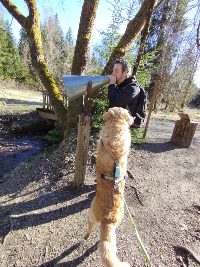 Naturmythenpfad in Braunlage - Station 4 - Der Bach