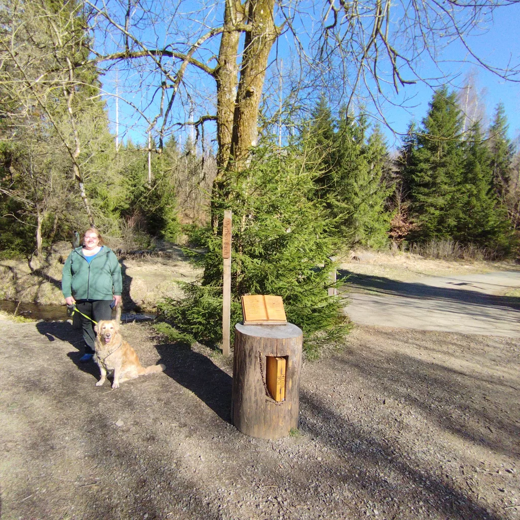 Naturmythenpfad in Braunlage - Station 4 - Der Bach