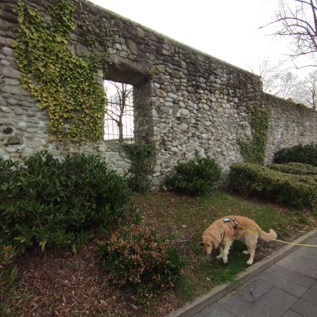 Historische Stadtmauer - Osterode am Harz