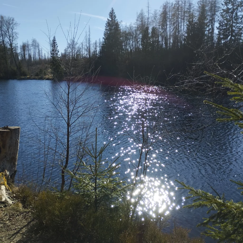 Naturmythenpfad in Braunlage - Station 5 - Der Silberteich
