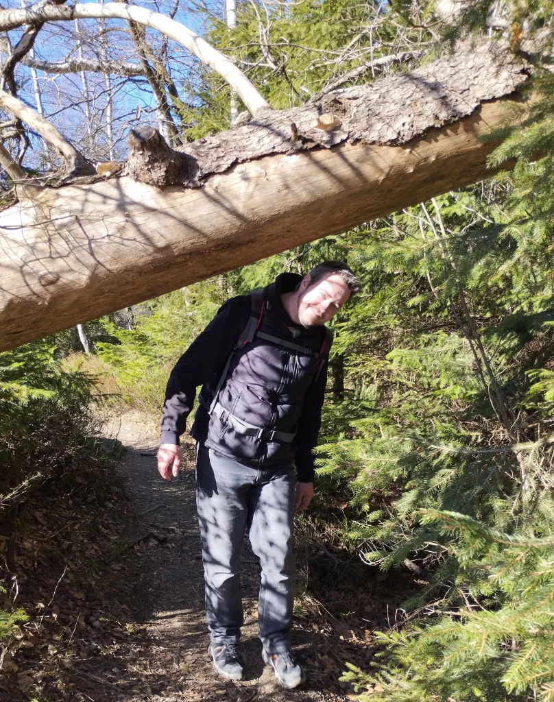Naturmythenpfad in Braunlage - Station 5 - Der Silberteich