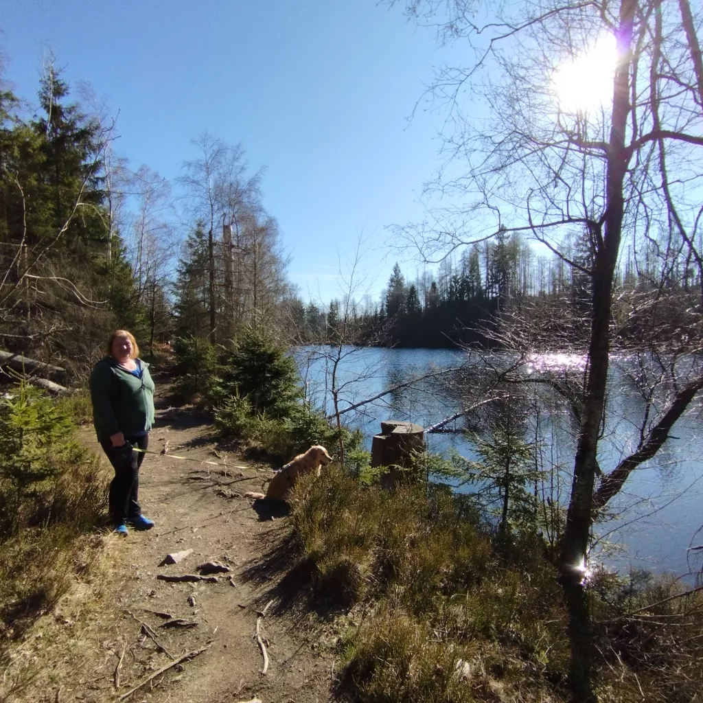 Naturmythenpfad in Braunlage - Station 5 - Der Silberteich