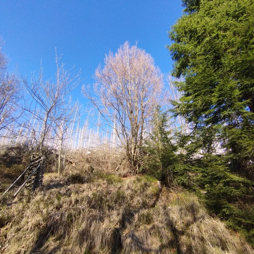 Naturmythenpfad in Braunlage - Station 6 - Naturgewalten