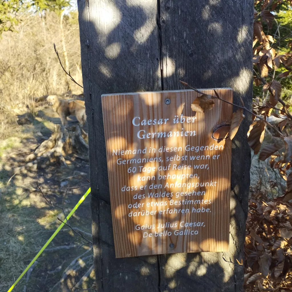 Naturmythenpfad in Braunlage - Station 7 - Der Wald