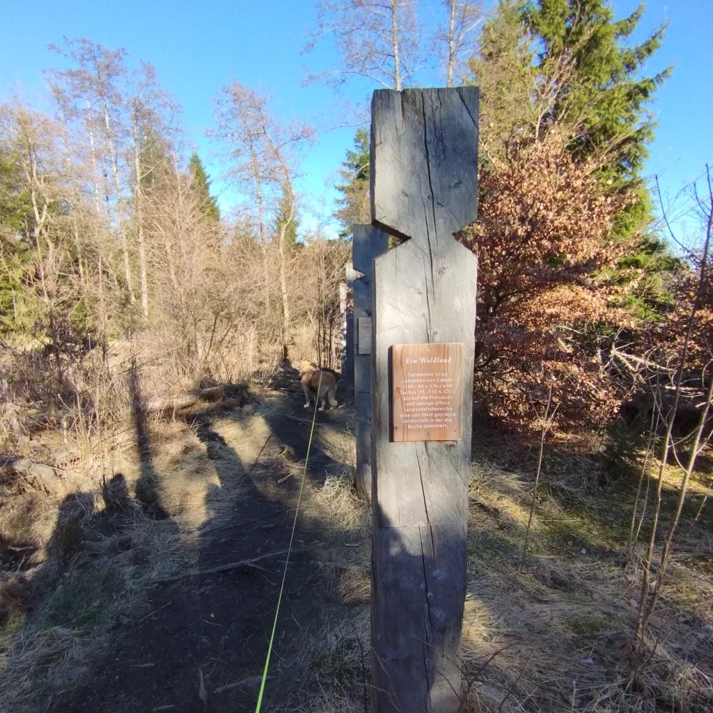 Naturmythenpfad in Braunlage - Station 7 - Der Wald
