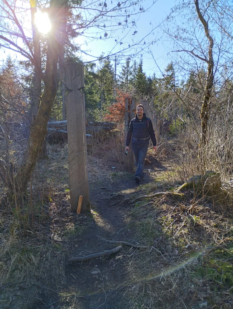 Naturmythenpfad in Braunlage - Station 7 - Der Wald