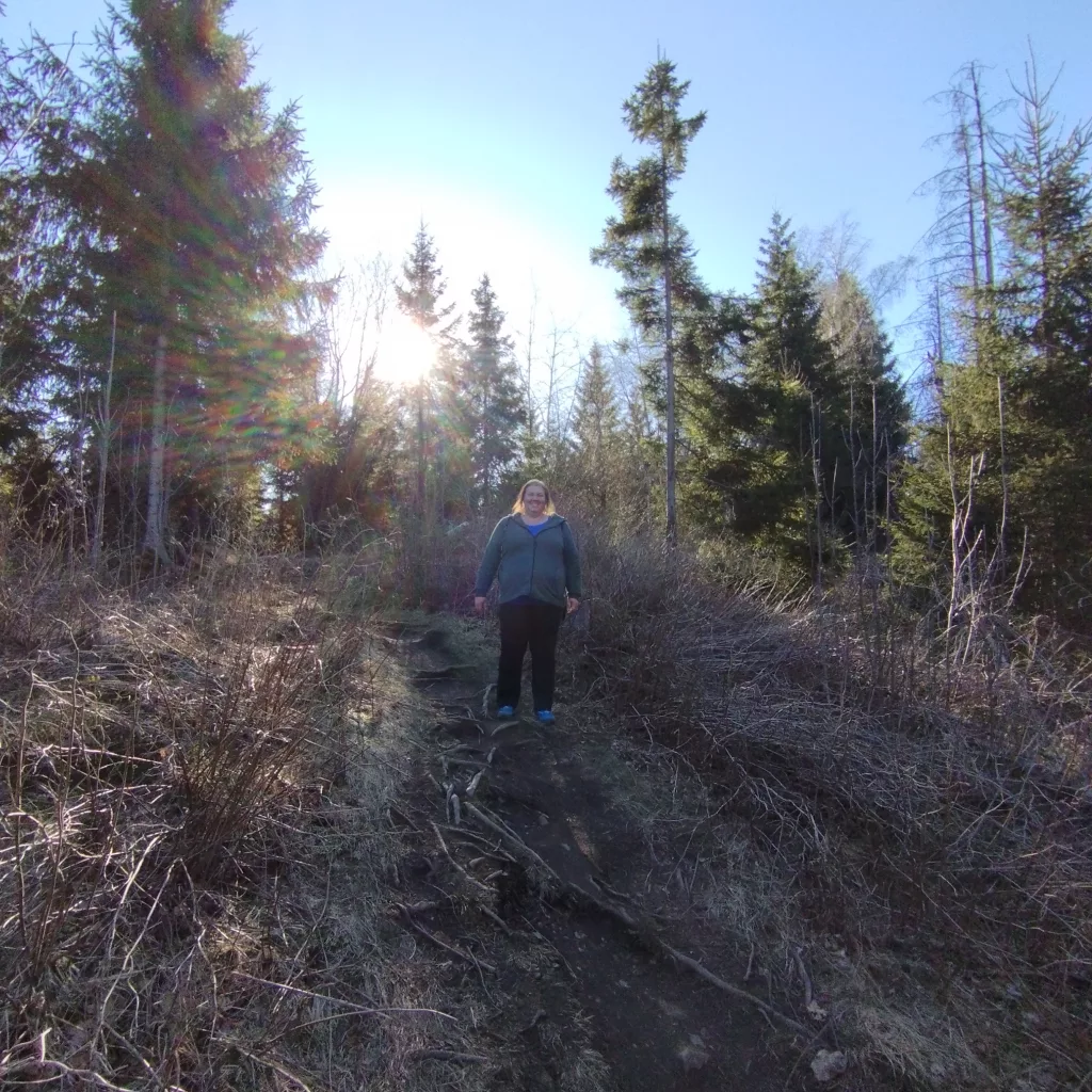 Naturmythenpfad in Braunlage - Station 7 - Der Wald