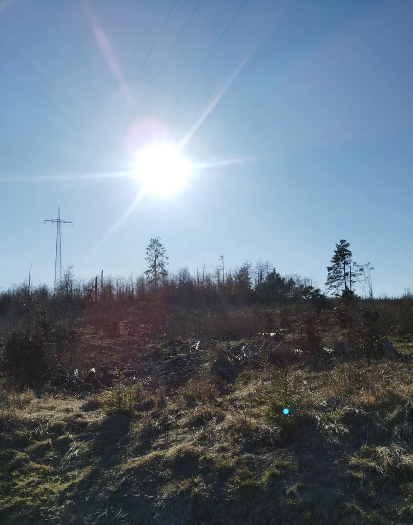 Naturmythenpfad in Braunlage