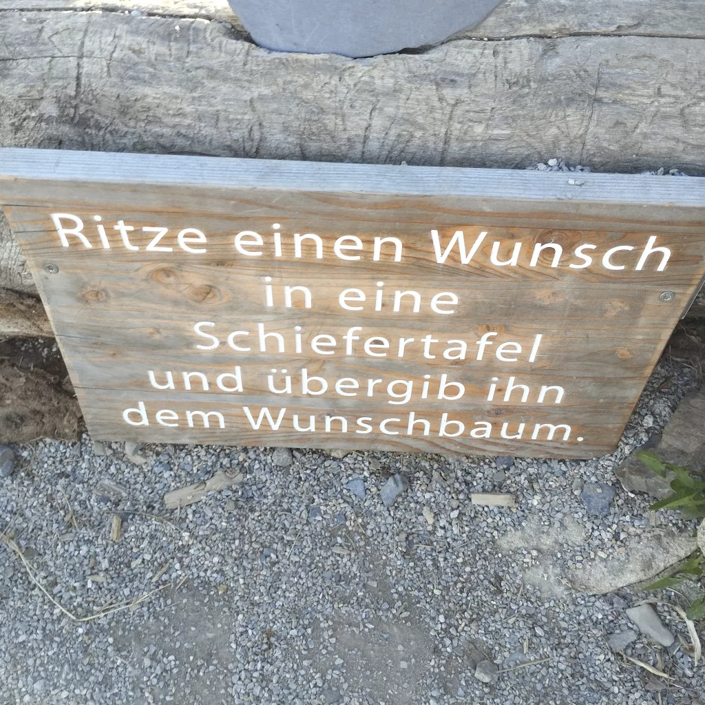 Naturmythenpfad in Braunlage - Station 8 - Der Wunschbaum