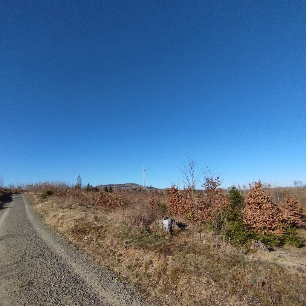 Naturmythenpfad in Braunlage