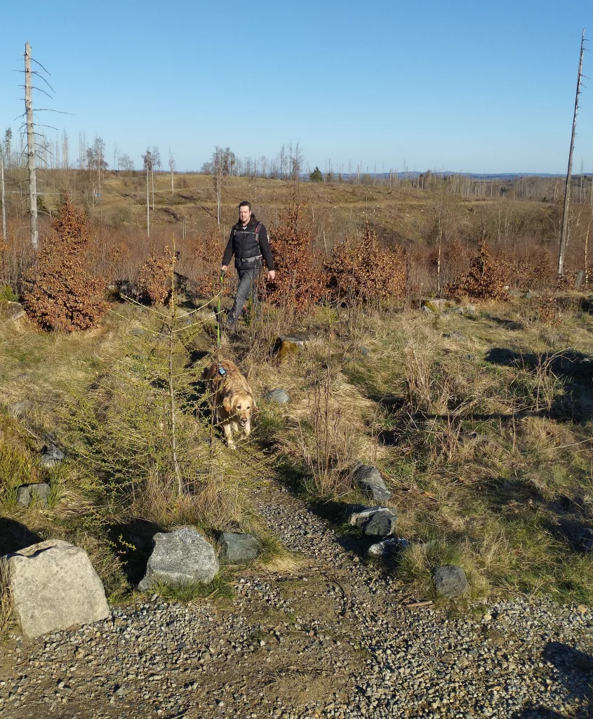 Naturmythenpfad in Braunlage - Station 9 - Das Labyrinth