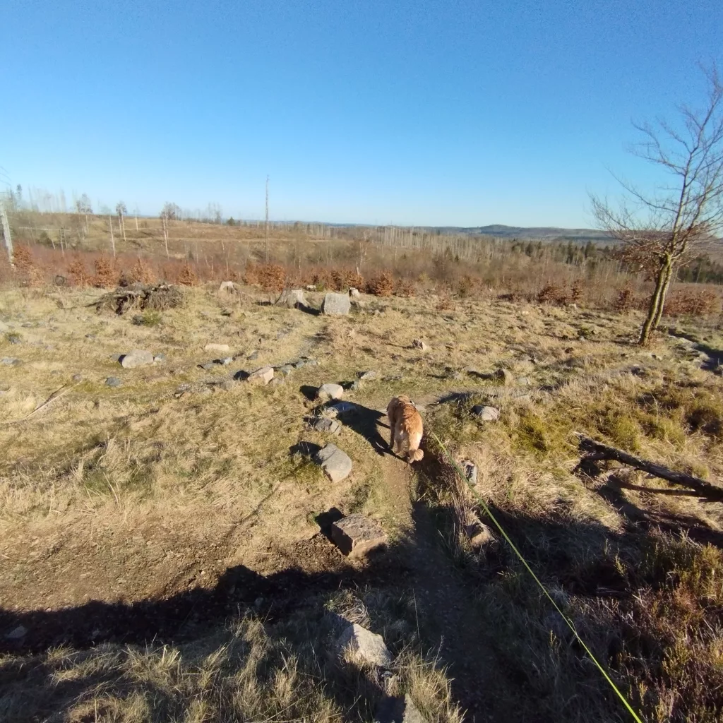 Naturmythenpfad in Braunlage - Station 9 - Das Labyrinth