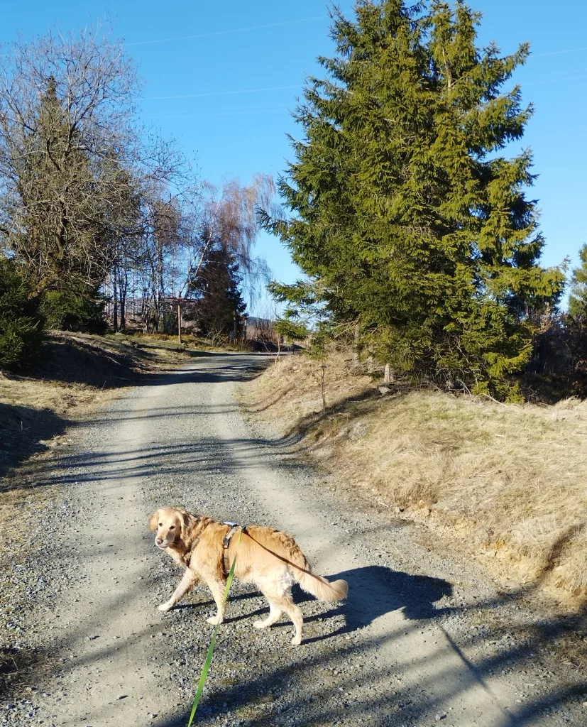 Naturmythenpfad in Braunlage