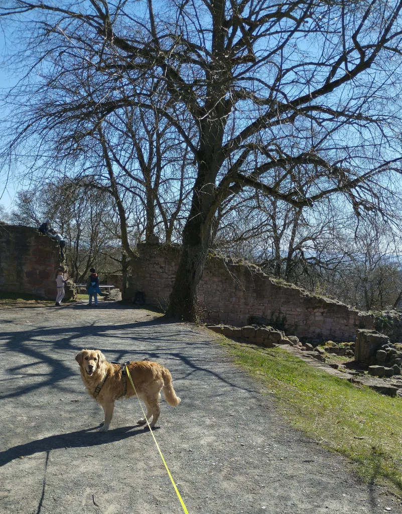 Unterburg - Kyffhäuser-Denkmal